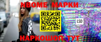 хмурый Сланцы