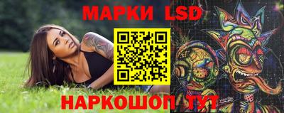 хмурый Сланцы