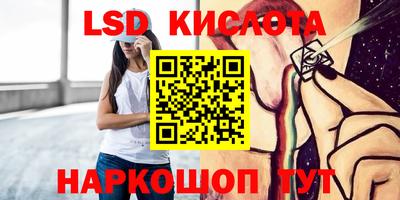 хмурый Сланцы