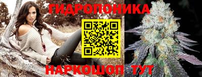 гидропоника Славгород